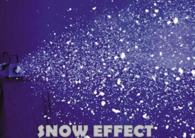 snowEffect1