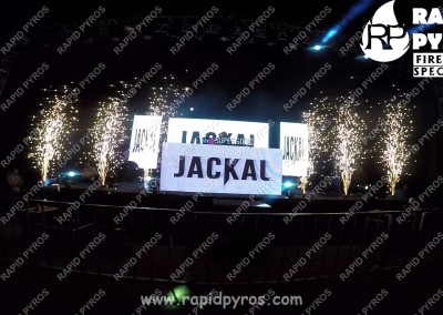 jackal-02