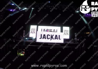 jackal-10